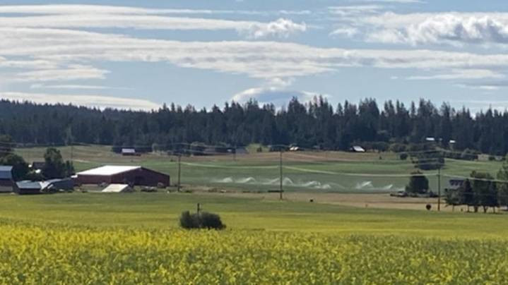 Spokane County farmer fined $100,000 for repeatedly using water illegally
