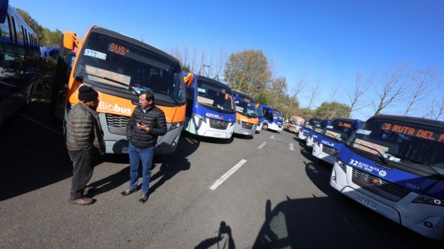 Autoridades entregaron 29 taxibuses con estándar RED para el Gran Concepción