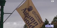 Autumn Gold Festival returns to Ellsworth