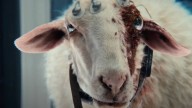 The eyeball alien got no payoff in Alien: Earth's finale, and I'm mad about it