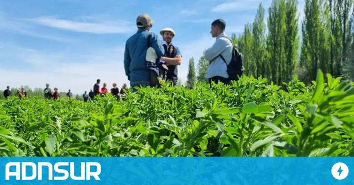 08:40 Créditos de hasta 30 millones para el campo neuquino: requisitos y condiciones