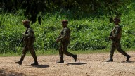 Reportan fuertes combates en Catatumbo y Antioquia: el Ejército se enfrenta contra el Eln y el ‘clan del Golfo’