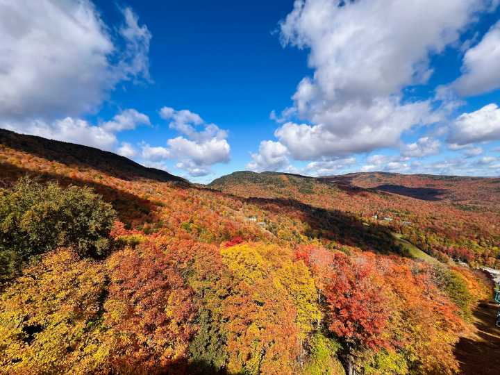 As drought persists, scientists expect a spectrum of foliage conditions
