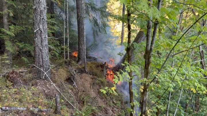 Port Alberni fire crews respond to fire near Roger Creek