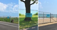 Ribbon-cutting celebrates completion of South Shore Beach rehabilitation project