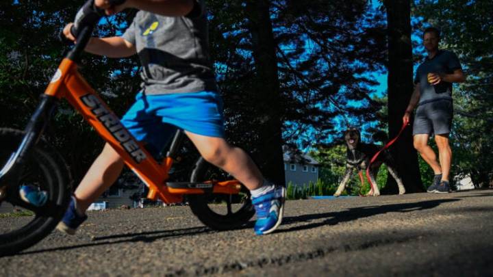 Construction resumes on Cambridge bike path after temporary halt prompted by residents' legal complaint