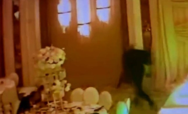‘Wedding crasher stole $60,000 in gifts during newlyweds’ reception’