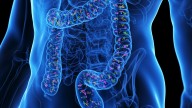 Gut Microbiome Stability Tied to Better Growth in Malnourished Children
