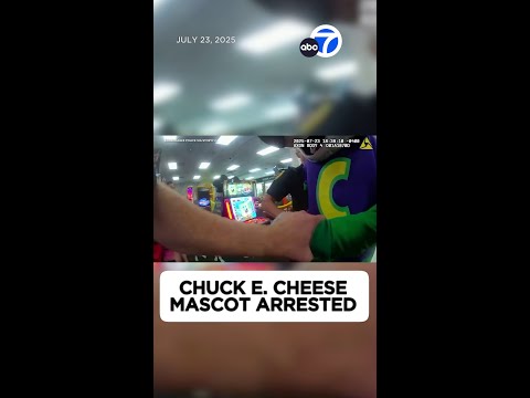 Chuck E. Cheese mascot arrested in full costume