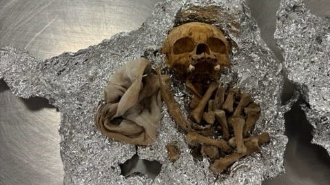 Traveler found with skull and other human remains at Tampa airport