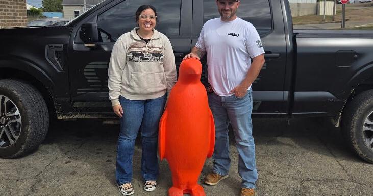 The case of the missing penguin