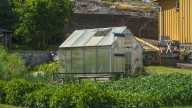 Is Harbor Freight's Greenhouse Worth Actually Worth Buying?