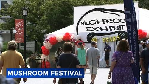 Community celebrates 40th annual Kennett Square Mushroom Festival