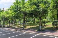 Jacksonville Planning Commission endorses revisions to parking, landscaping regulations