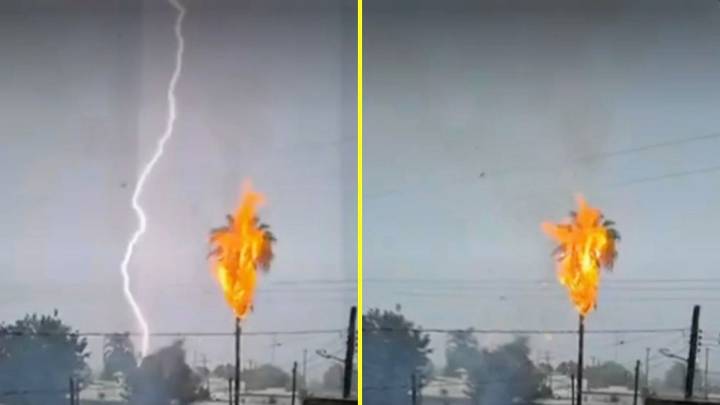 Impactante rayo en México causa incendio en una palmera