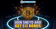 Stable, Continuous, and Profitable — SNEYD Mining is Your Next Step!
