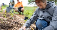 Tiny forests breathe life and hope into urban Australia