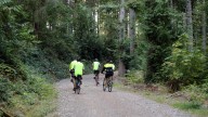Tree farm outside Bremerton could be Kitsap's next 'community forest'