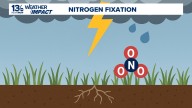 How lightning fertilizes soil with atmospheric nitrogen fixation
