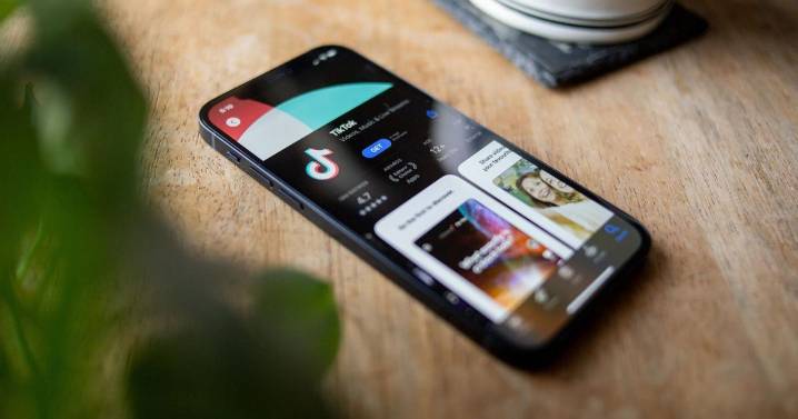 We now know who the new owners of TikTok will be - if Trump gets his deal done with Xi