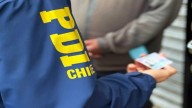 Detienen a joven extranjera que usurpó identidad de mujer con carnet chileno para conseguir trabajo en un fundo