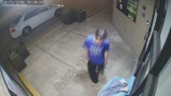 'Who would steal from homeless animals?': Norfolk SPCA asks thief to do the right thing