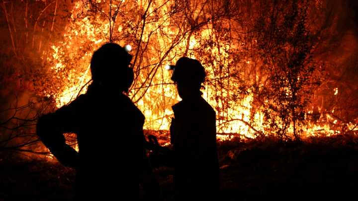 Marta Corella, ingeniera forestal: ?Tenemos un territorio abandonado y sin gestión y esto es una tragedia humana?