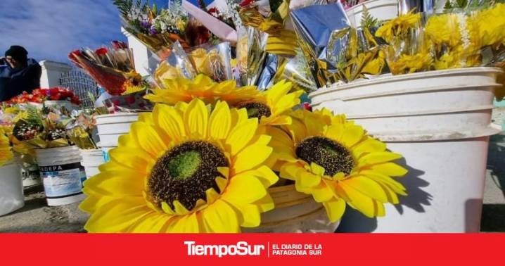 Tendencia y precios Furor por las flores amarillas en la previa a la Primavera