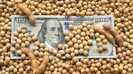 Aporte clave de la agroindustria para fortalecer las reservas del Banco Central en el primer semestre