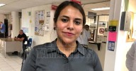 Sin alarma por influenza aviar, pero refuerzan vigilancia en Matamoros