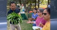 Celebrate diversity: Rochester's F.A.R.M. Fest returns to MLK Park