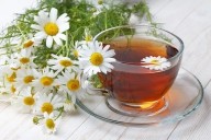 10 plantas medicinales que puedes tener en casa