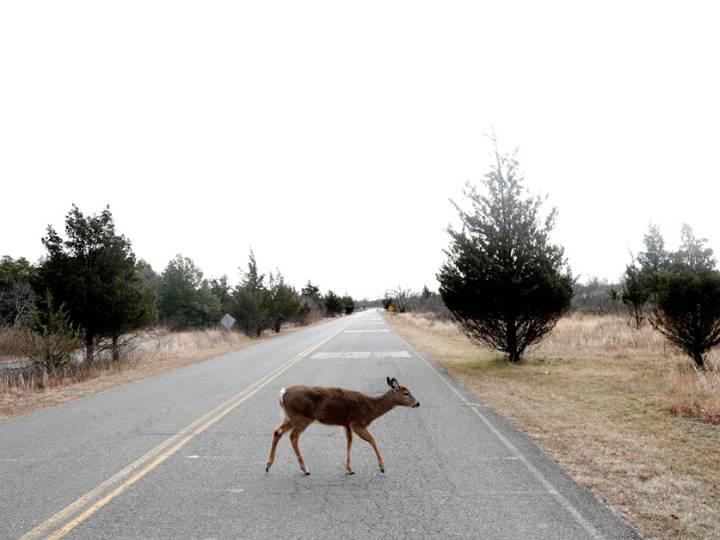 Here's what a government shutdown could affect around the country
