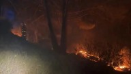 El Gobierno no destinará fondos extra a las comunidades para que contraten bomberos todo el año como insta en el Pacto Climático