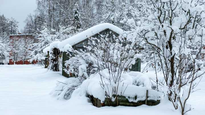 What The Old Farmer's Almanac Prediction Says About Your Garden This Winter