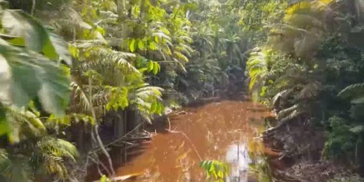2 Missouri State University archeologists searching for lost city in the Amazon rainforest