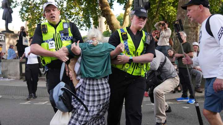 Más de 100 detenidos en Londres en una manifestación de apoyo al grupo propalestino ilegalizado Palestine Action