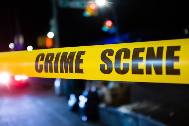 South American theft ring members get prison for multi