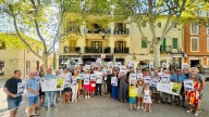 La nueva asociación contra el cable de Alcúdia exige una revisión del trazado pactado