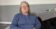 'XL Bully latched onto my arms in horror mauling