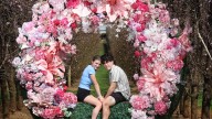 Cold start to spring means bright colours set to stick around for S&R Orchard Blossom Festival