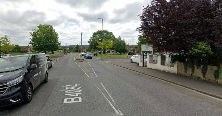 Dog walker seriously injured after 'storm-damaged tree' crushes him