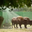 Early Addition: You still can't bring a gun to a zoo in New Jersey