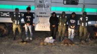 7 de Abril: secuestran 12 kilos de cocaína y detienen a tres personas que viajaban en micro
