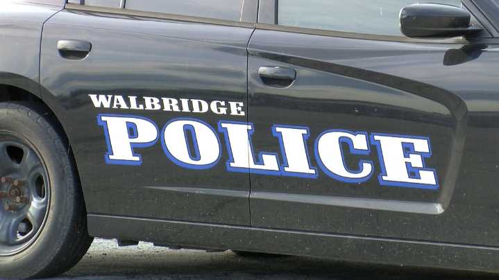 Walbridge mayor promises changes after two officers fired with troubled histories