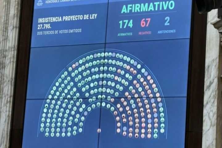 La oposición alcanzó los dos tercios para insistir con Financiamiento Universitario y la Cámara baja rechazó el veto de Milei