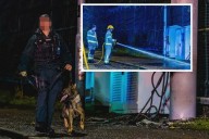 ‘Network of conspiracy theorists’ behind Belfast 5G mast arson attacks as cost tops £4m, court told