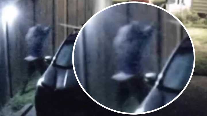 This video has people on edge. Now the neighborhood is fighting back amid crime spree.