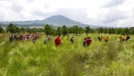 Reforestación en el Bosque de Agua alcanza 7.2 millones de ejemplares en dos meses