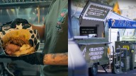 Llega a Zaragoza la batalla "militar" entre hamburguesas y 'hot dogs': horarios y precios